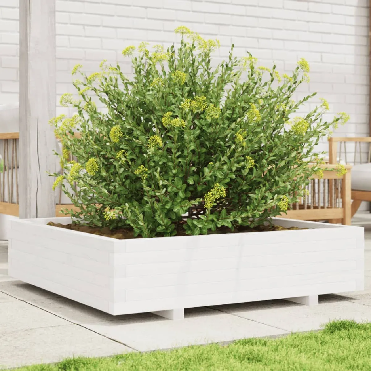 Vidaxl Jardinière - Bois De Pin Massif 100X100x26,5 Cm