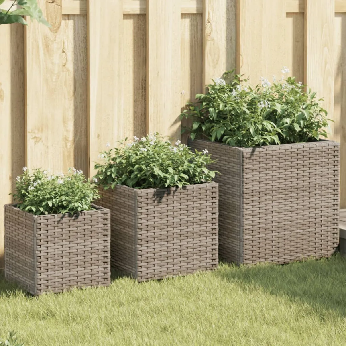 vidaXL Jardinières d'extérieur