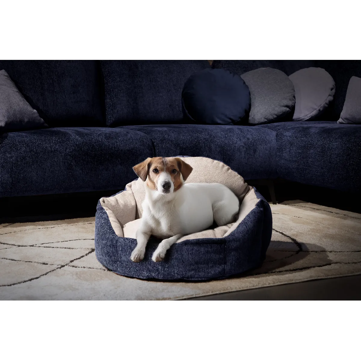 Meilleurs prix pour Panier pour chien et chat 70 x 55 cm tissu bleu et gris clair- MICKEY