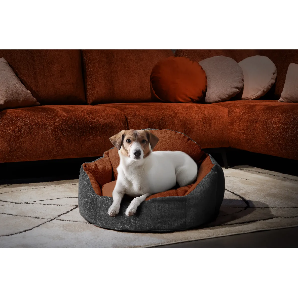 Comparer les prix de Panier pour chien et chat 70 x 55 cm tissu gris foncé et brique - MICKEY