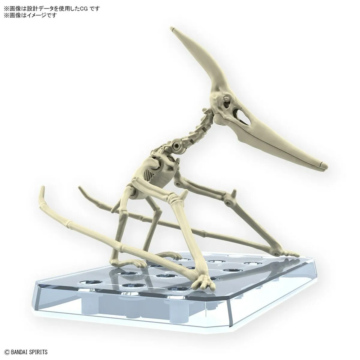 Bandai Pteranodon