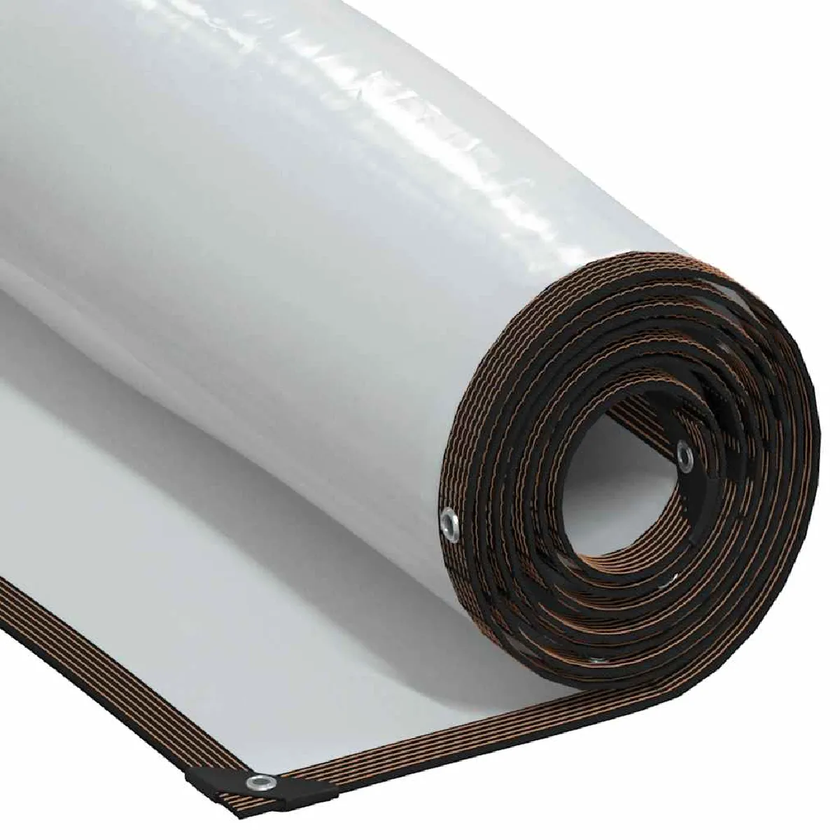 vidaXL Bâche Transparente 5x6 m PE