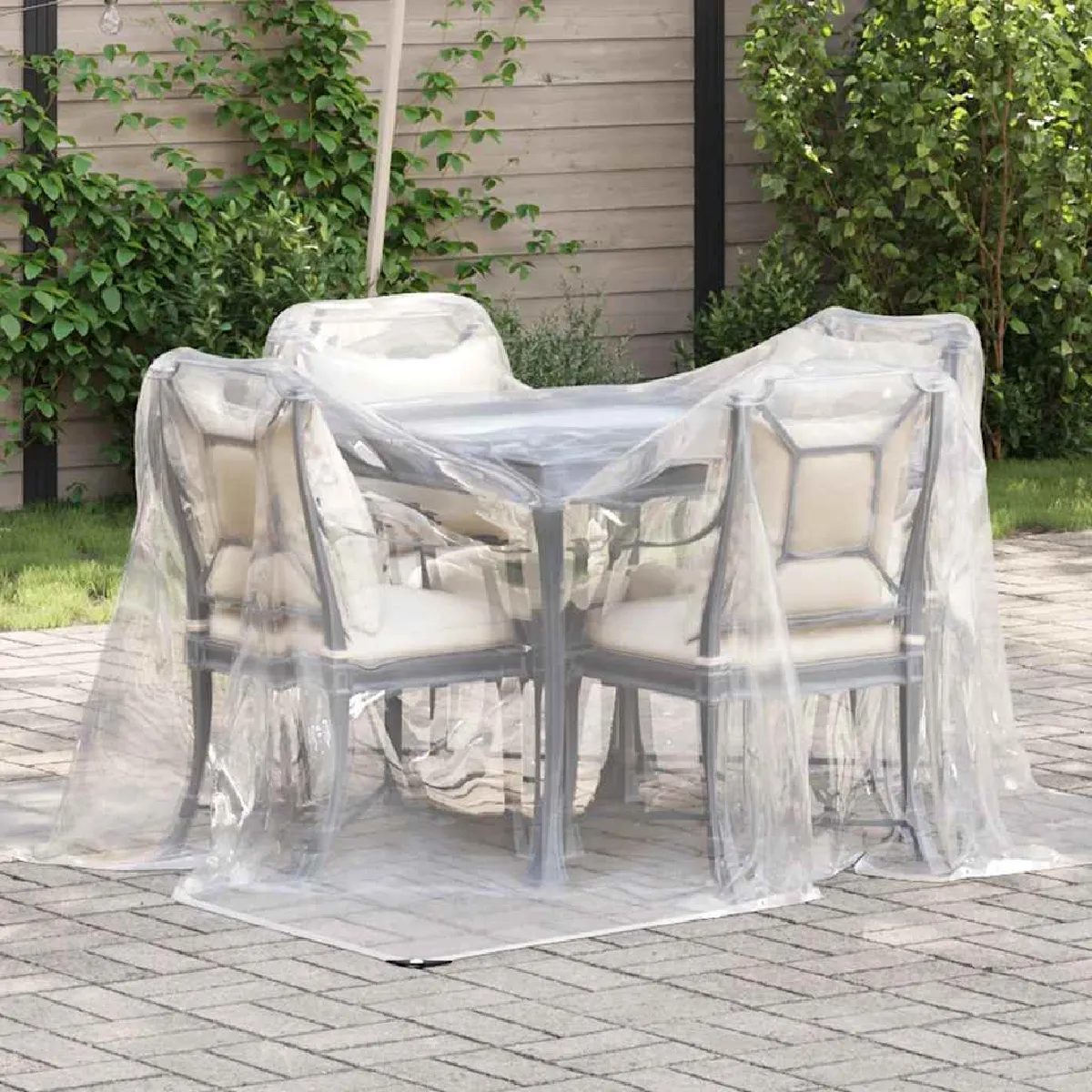 vidaXL - Bâche transparente avec œillets - 2 x 3 m - Image 2