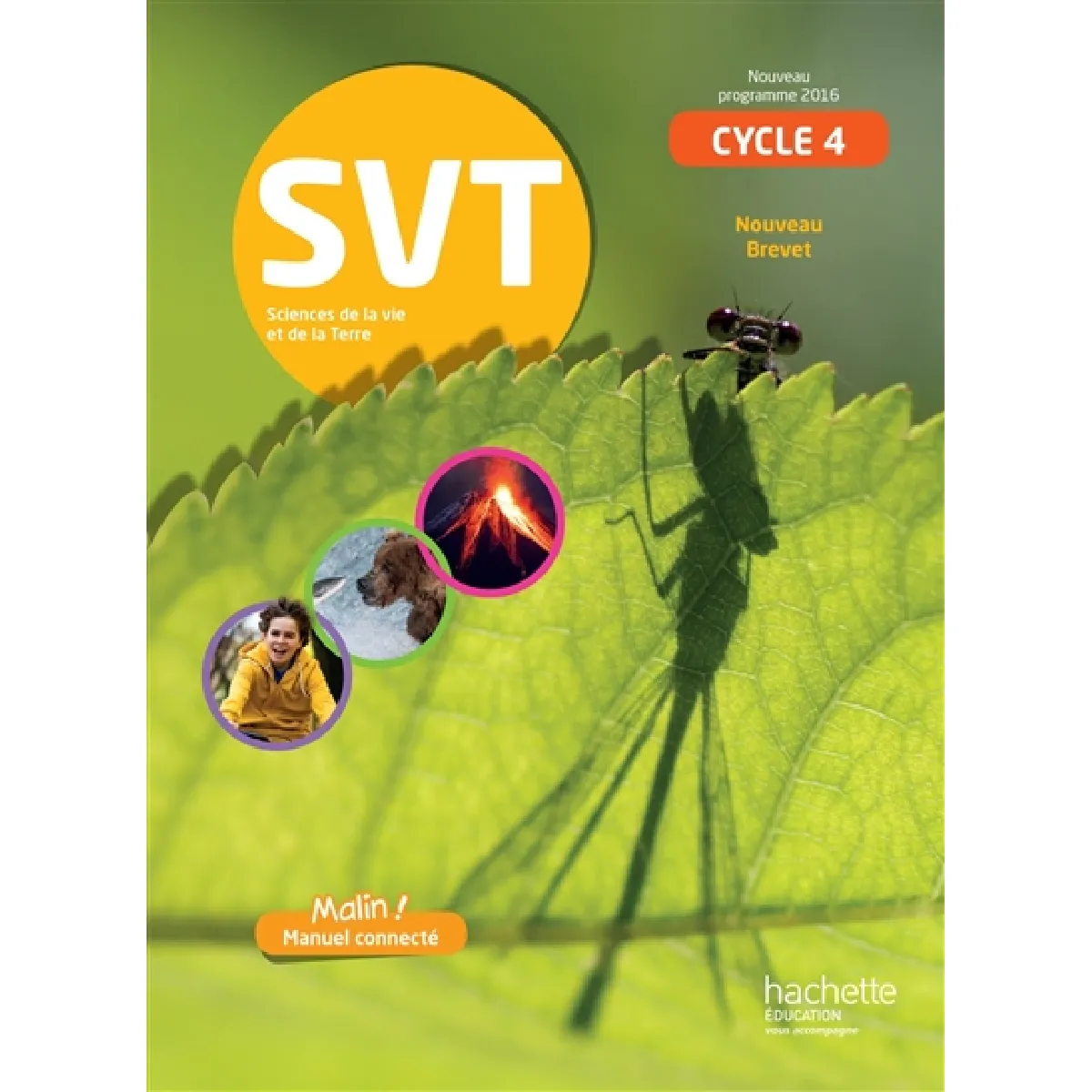 SVT, sciences de la vie et de la Terre, cycle 4 : nouveau programme 2016, nouveau brevet