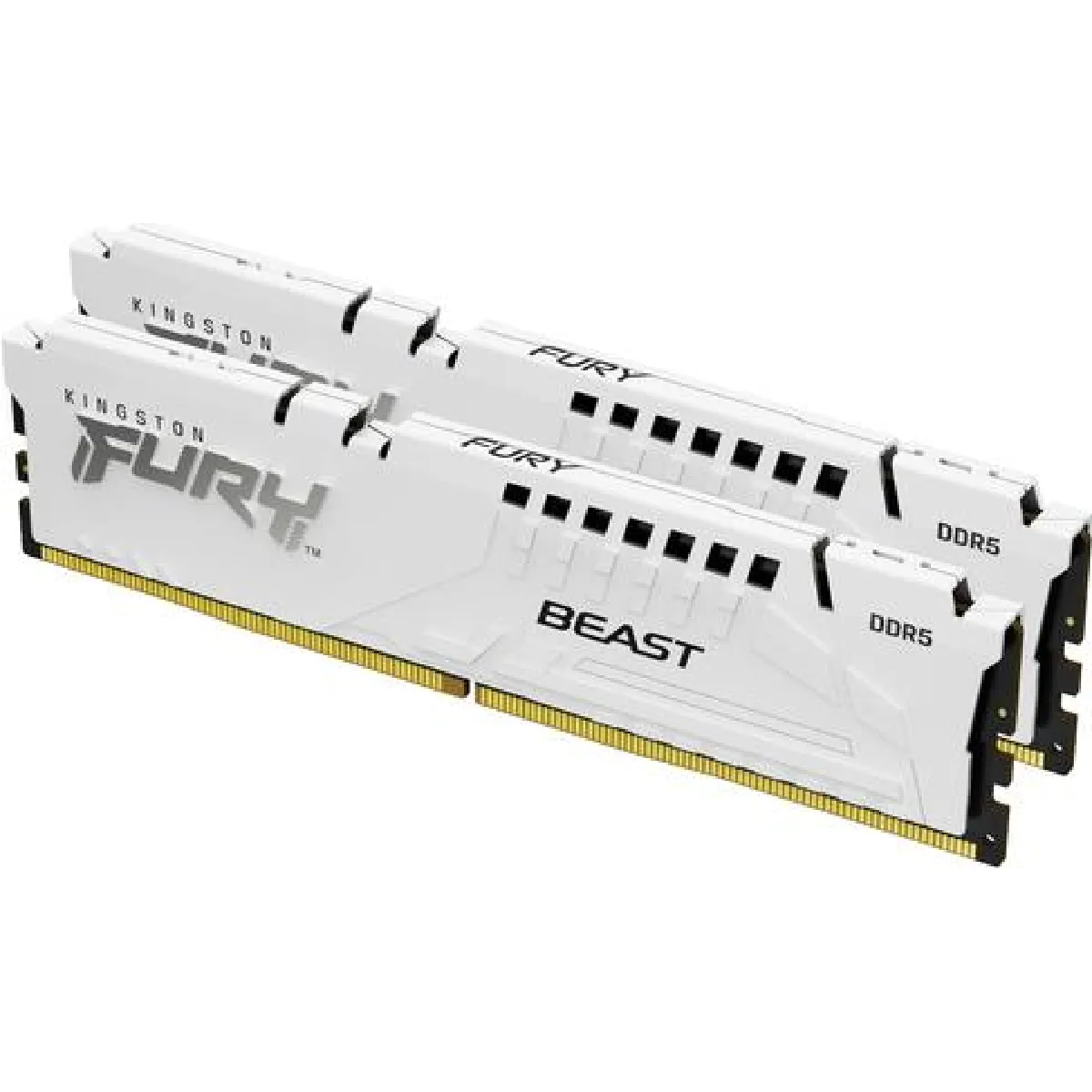 Kingston FURY Beast 2 x 8 Go DDR5 6000 MHz CL30