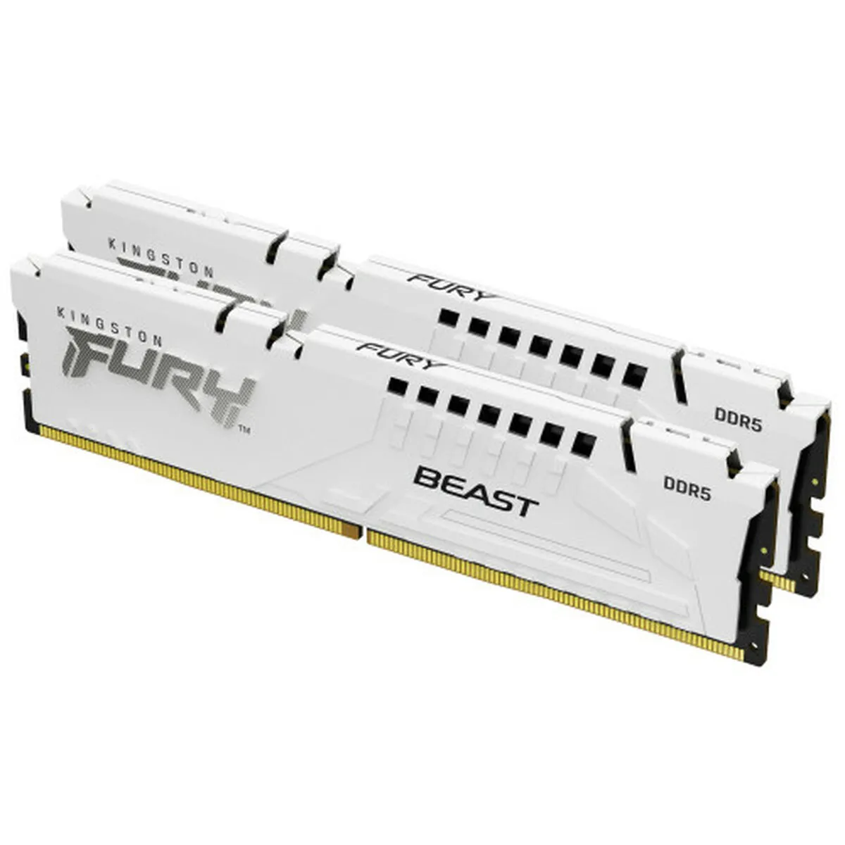 Kingston FURY Beast 2 x 8 Go DDR5 6000 MHz CL30