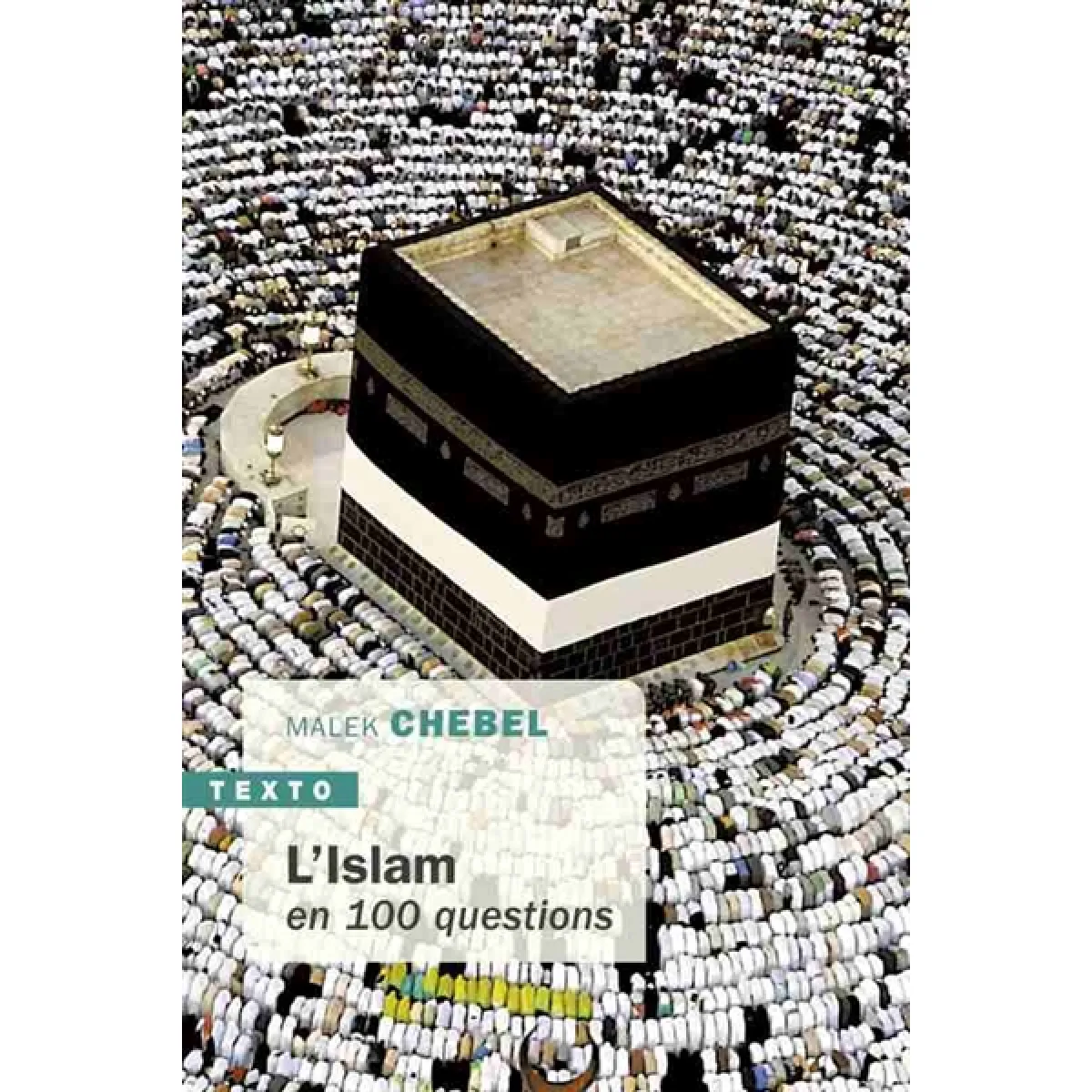 L'islam en 100 questions - Image 2