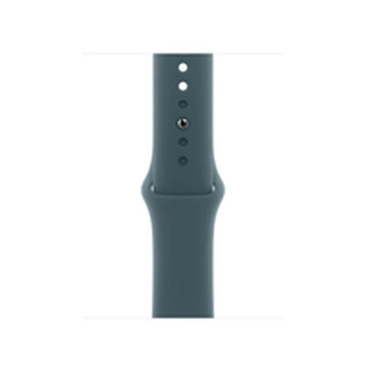 Bracelet Apple Watch 42mm Sport