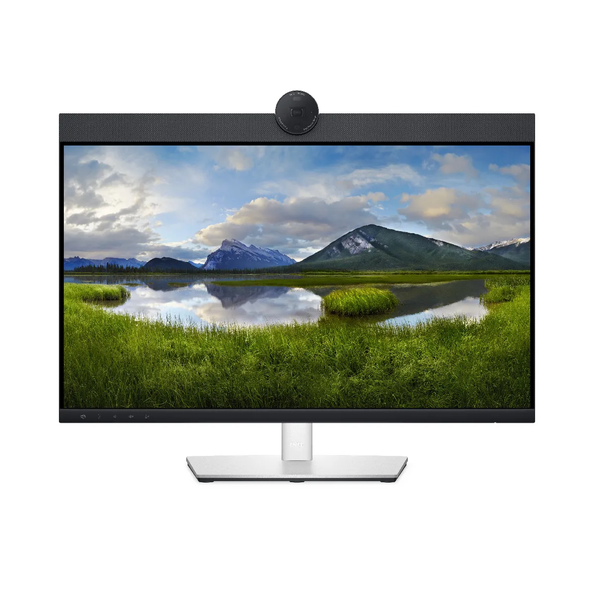 Dell DELL P2424HEB