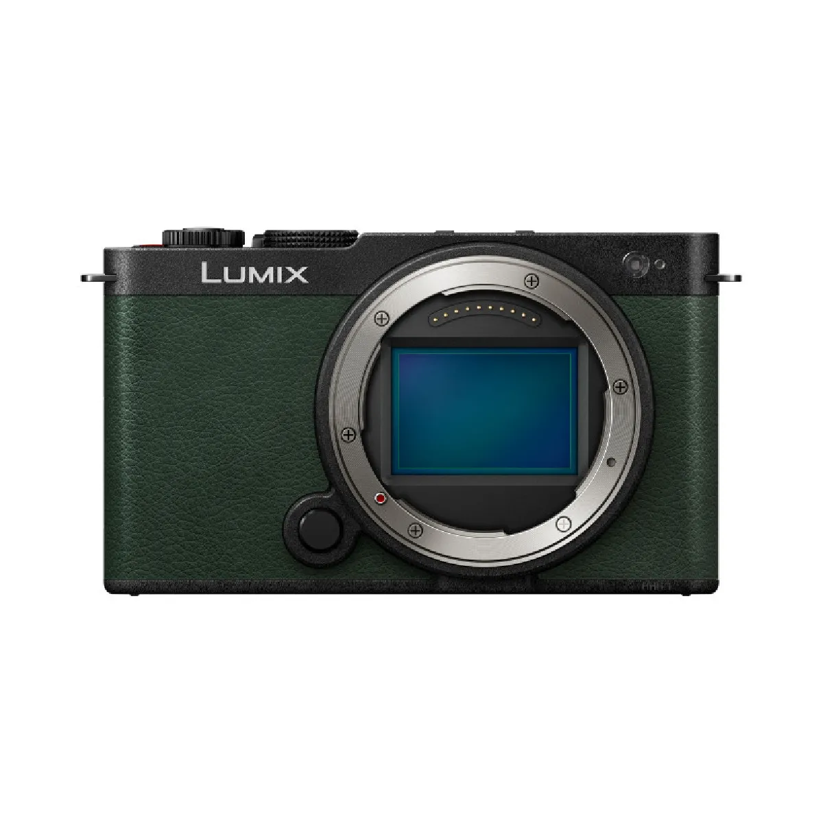 Appareil Photo Hybride Panasonic Lumix S9 – 24,2 MP, Vidéo 4K, Double Stabilisation - vue 9