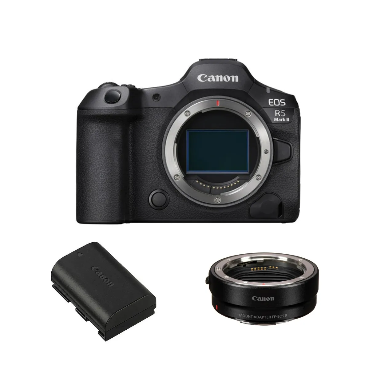 Canon EOS R5 Mark II - vue 8
