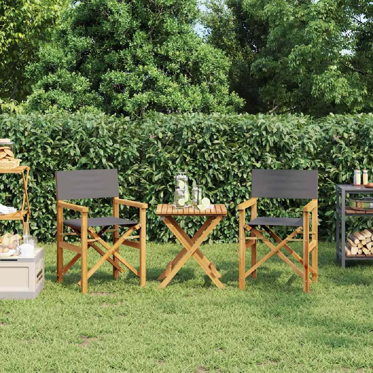 vidaXL Chaises metteur en scène pliantes Bois de teck - vue 2