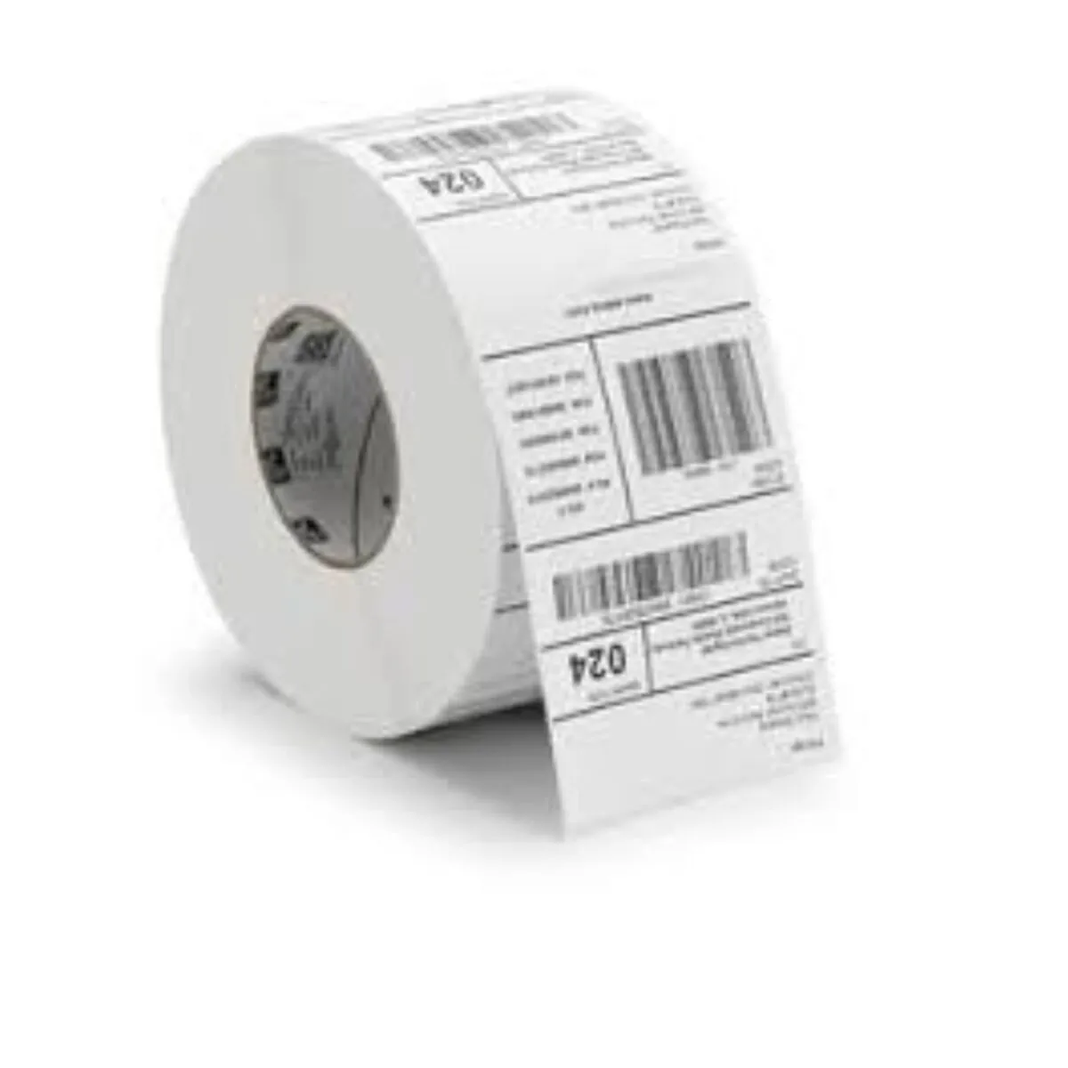 ZEBRA  800264-255