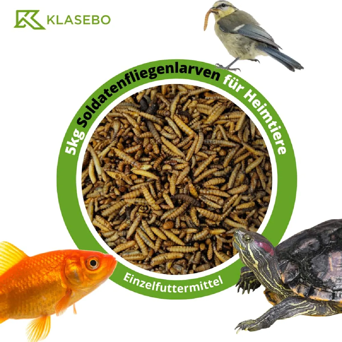 Meilleurs prix pour Larves de mouches soldats 5 kg Hermetia illucens