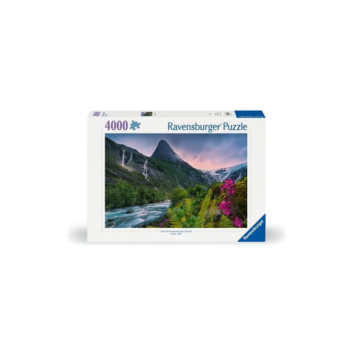 Puzzle 4000 pièces Paysage Ravensburger France