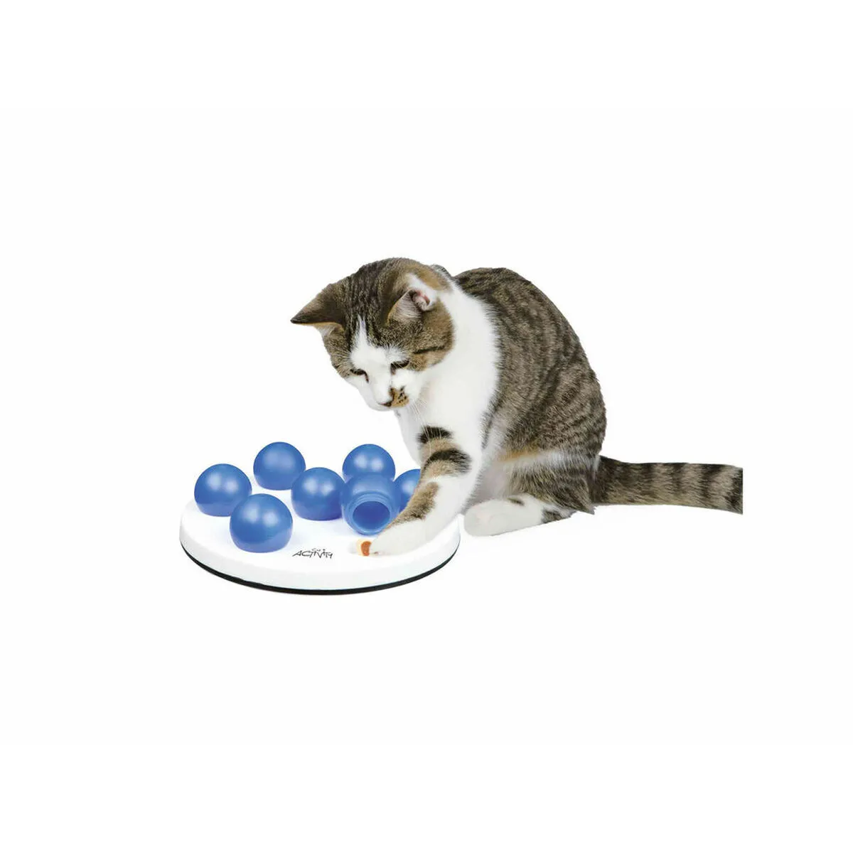 TRIXIE Tapis de Jeux et Récompenses pour Animaux TRIXIE Tapis de Jeux et Récompenses pour Animaux