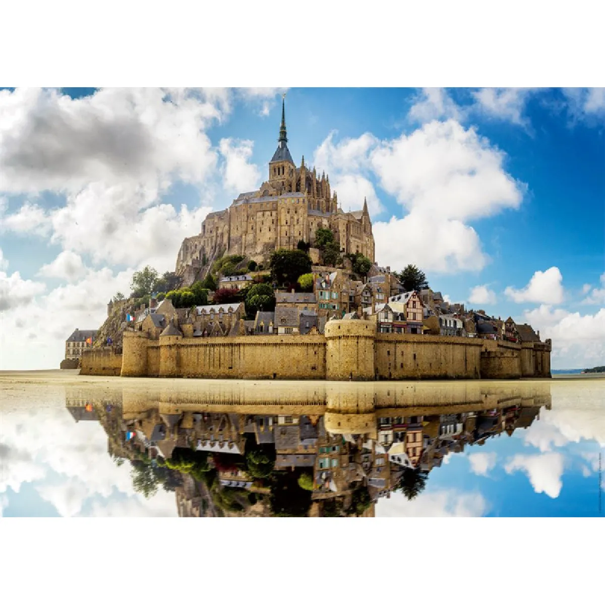 Puzzle 1000 pièces : abbaye du Mont Saint Michel Des racines et des ailes Ravensburger Nathan