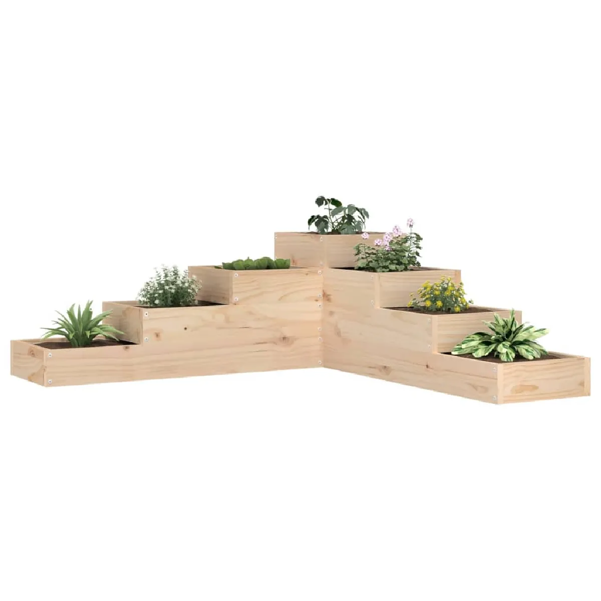 vidaXL Jardinière 4 Niveaux Bois de Pin - vue 2