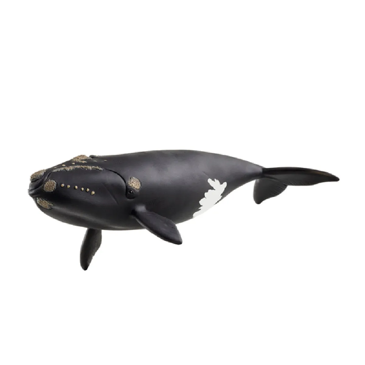 Comparer les prix de Schleich figurine baleine de l’Atlantique