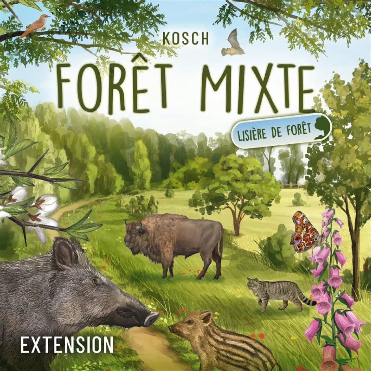 Asmodee Forêt Mixte Extension Lisière