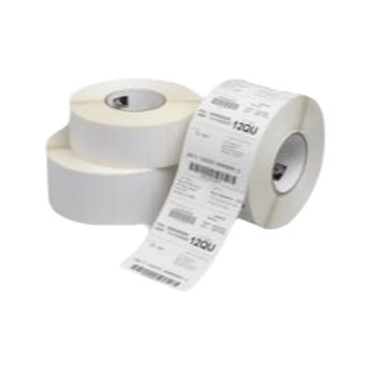 ZEBRA  800271-105