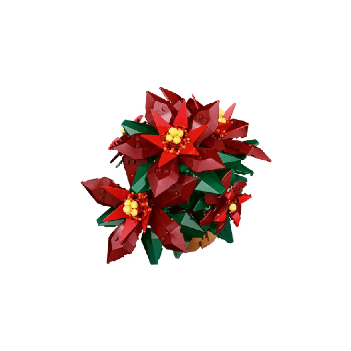 'étoile de Noël - vue 3