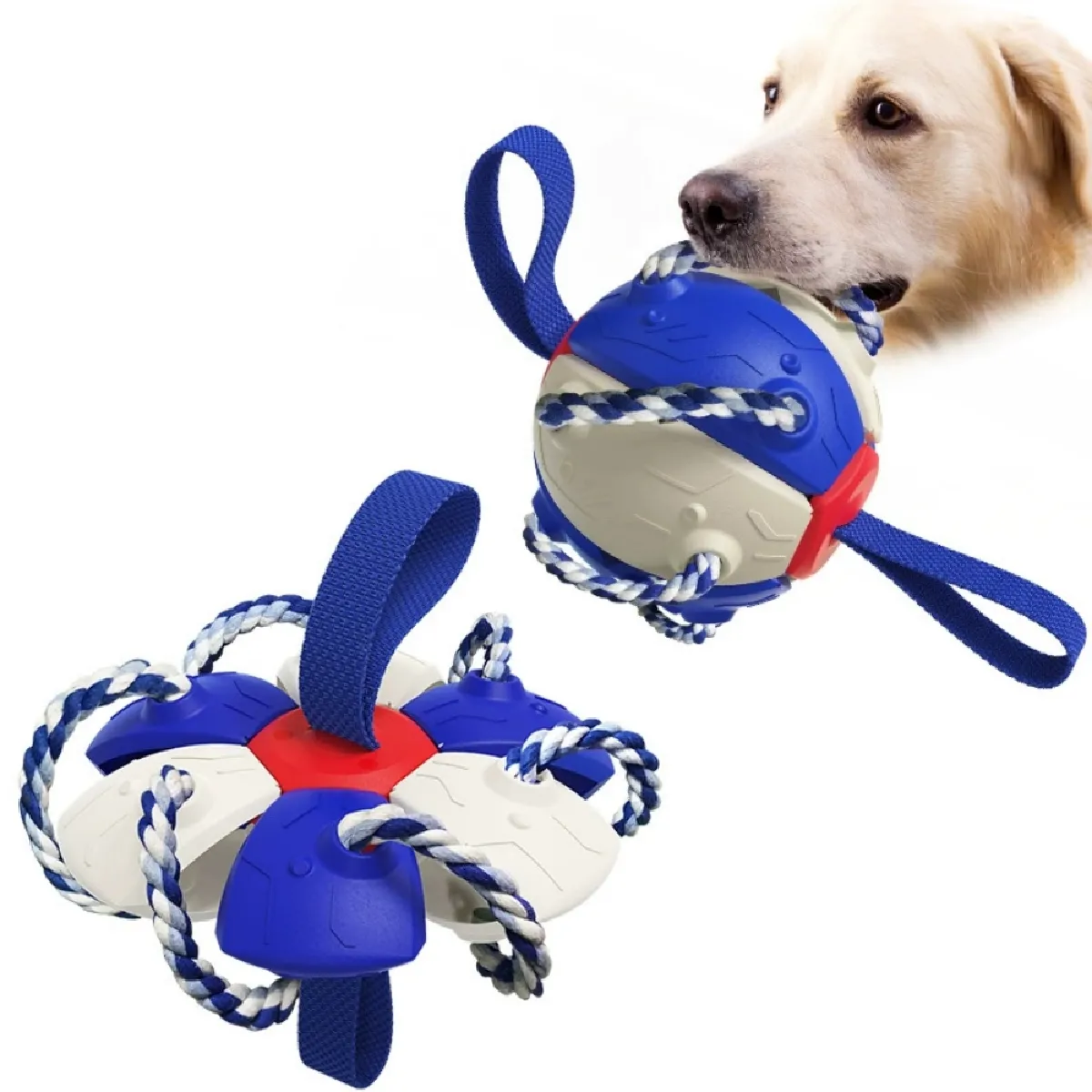 Comparer les prix de Frisbee et ballon pour chien DtopbuyAge