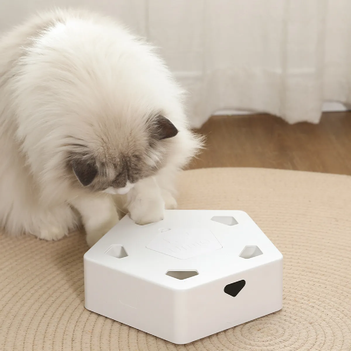 Comparer les prix de Jouet d'intérieur automatique pour chat