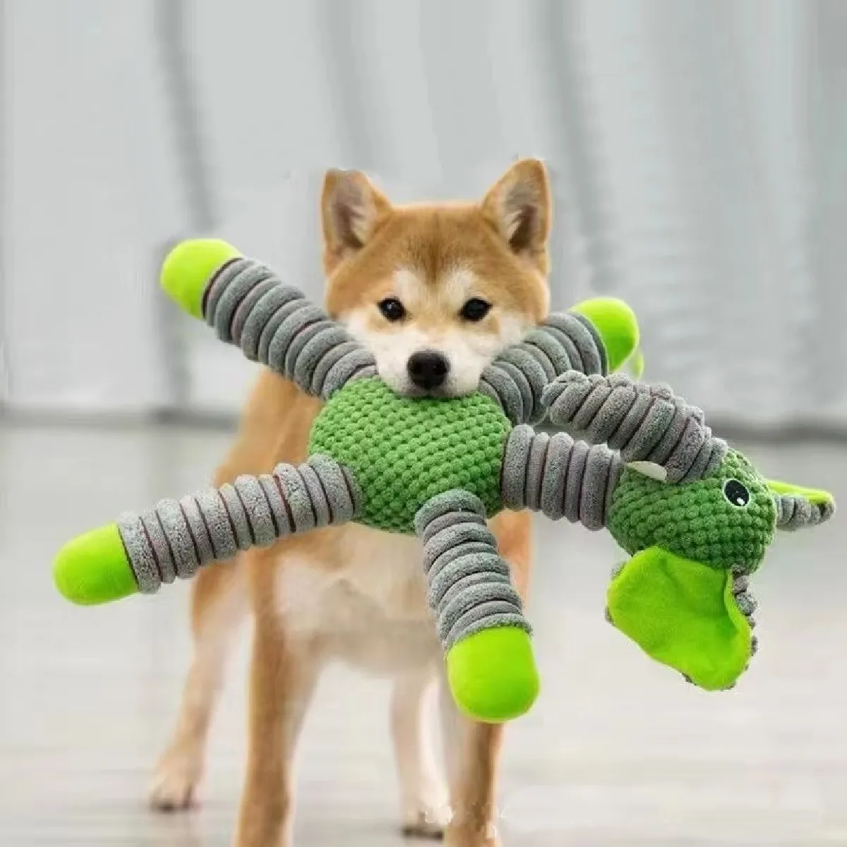 Meilleurs prix pour DtopbuyAge Jouet sonore pour chien