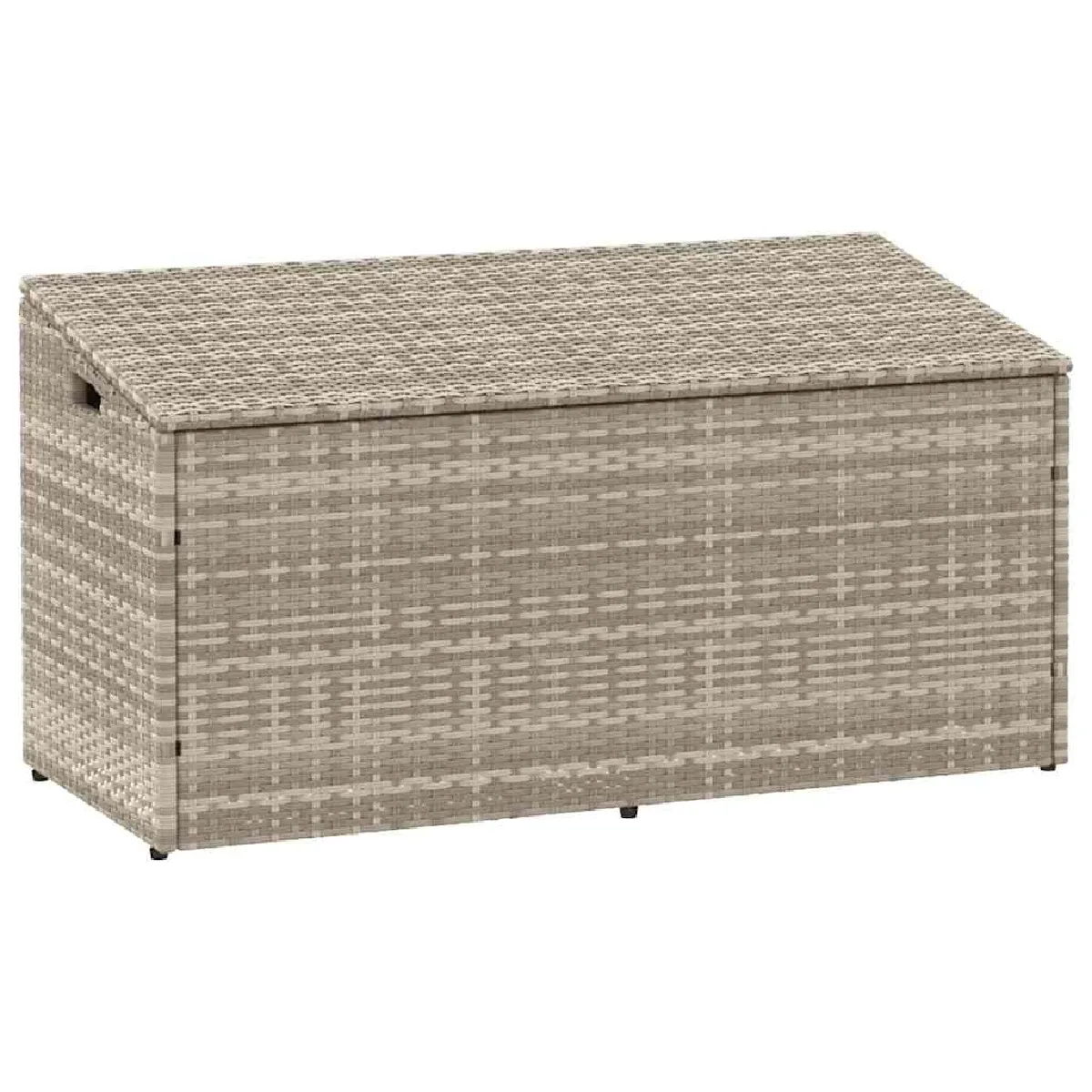 vidaXL Boîte de rangement de jardin Rotin - vue 2