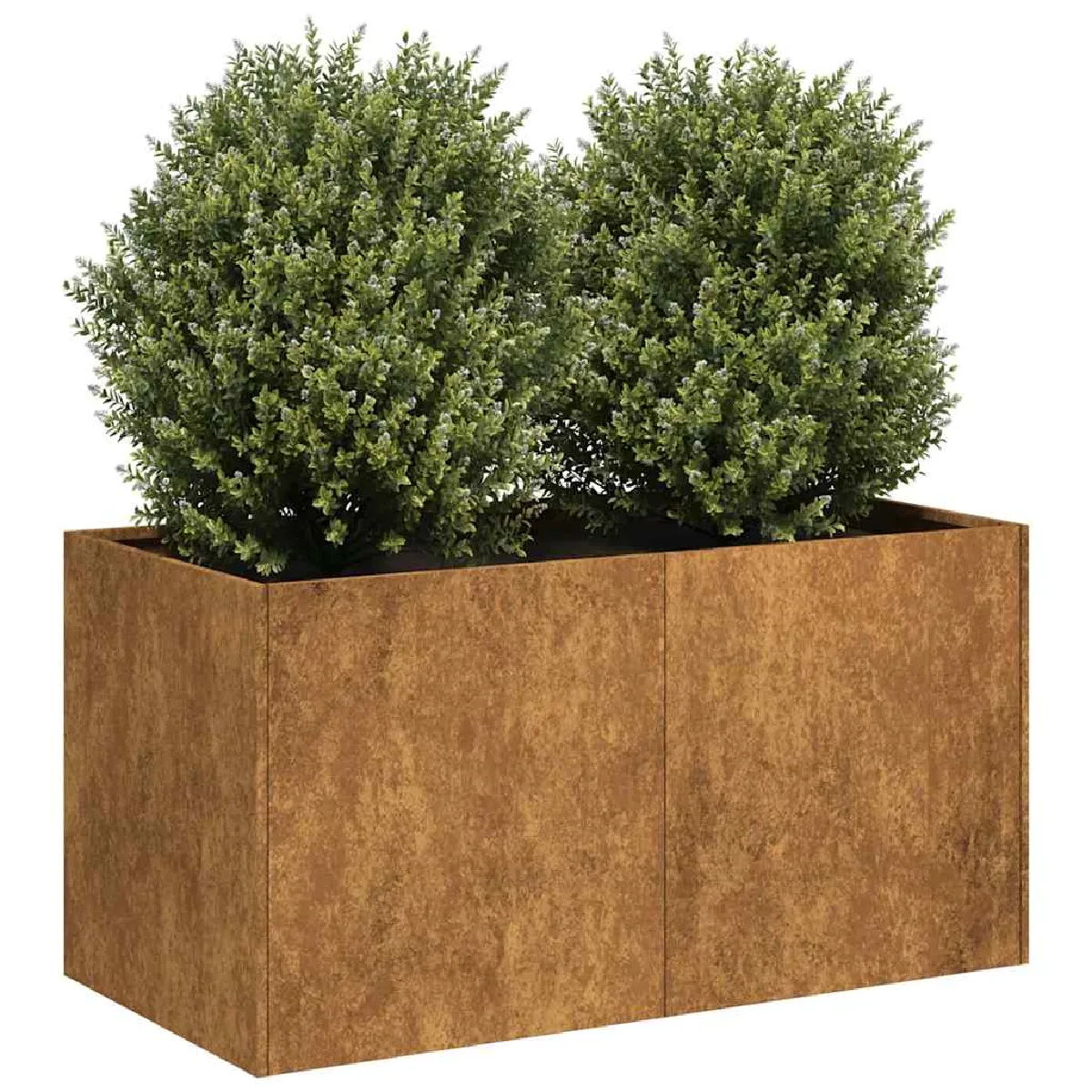 vidaXL Jardinière acier inoxydable Rouillé