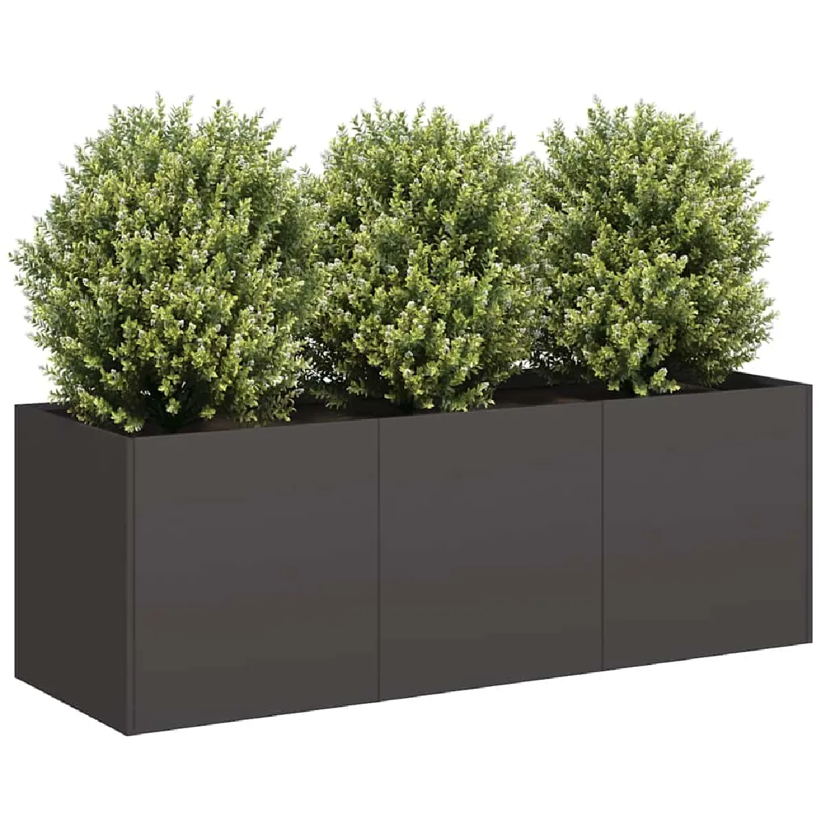 VIDAXL - Jardinière - 120x40x40 cm - Noir - Image 3