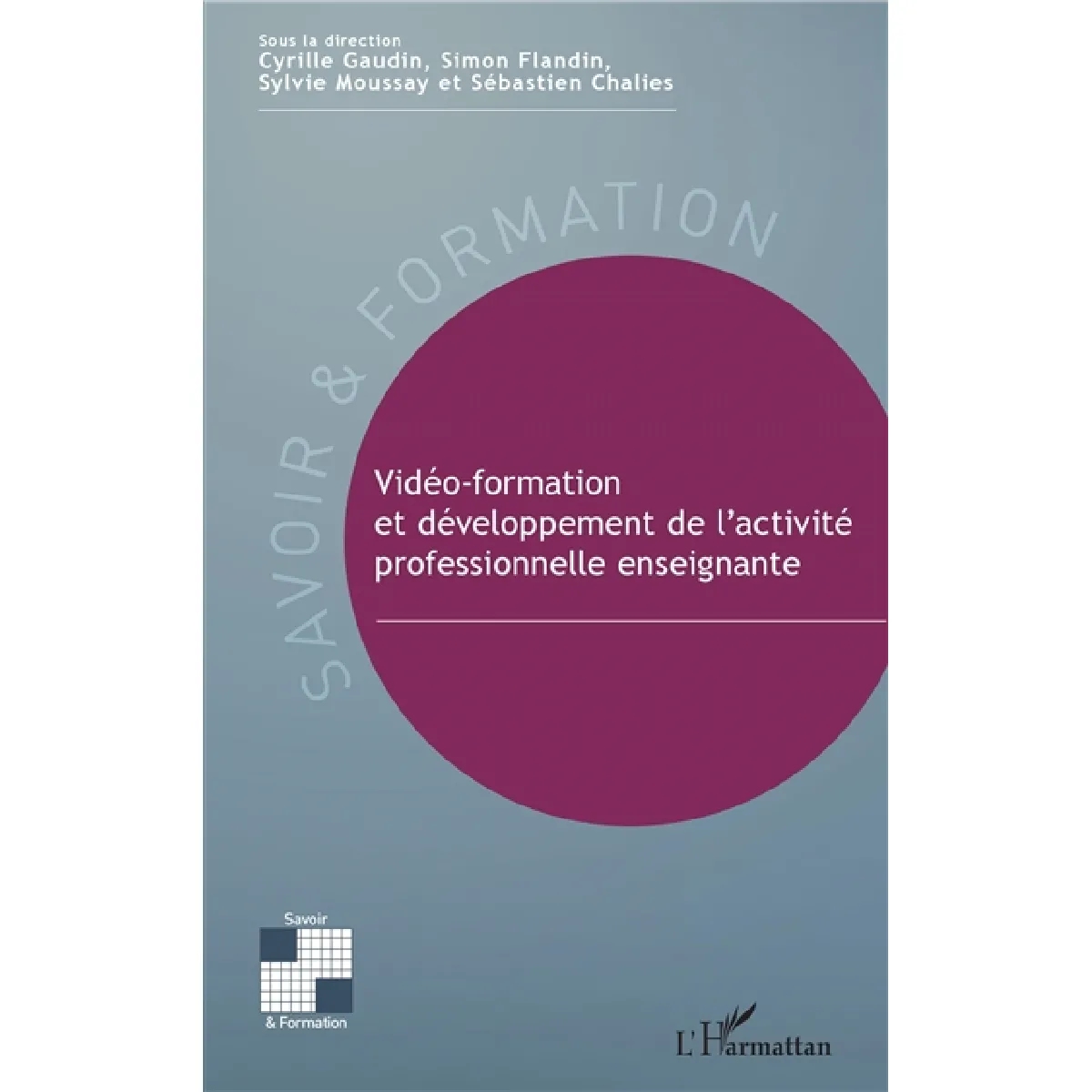 Vidéo-formation et développement de l'activité professionnelle enseignante