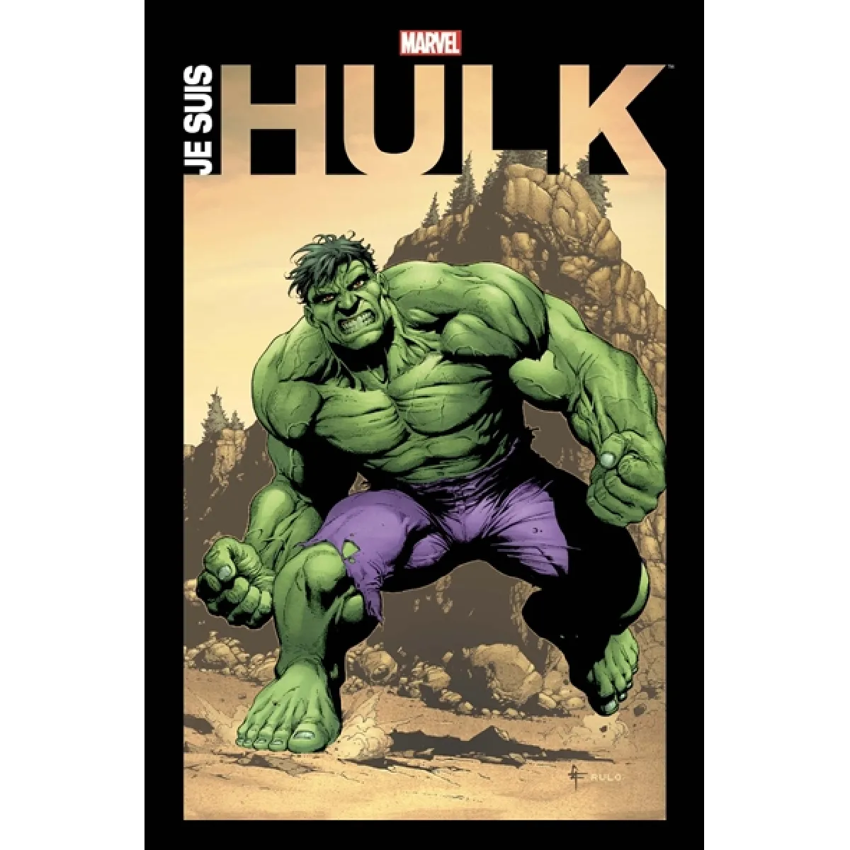 Collectif Je Suis Hulk - Image 2