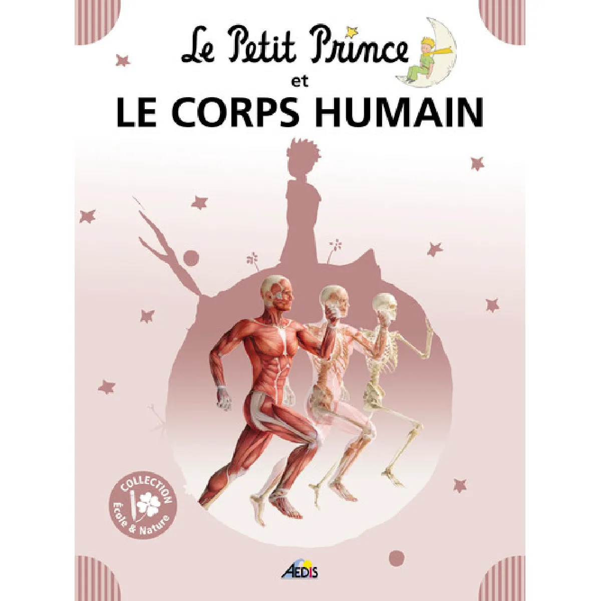 Le Petit Prince et le corps humain