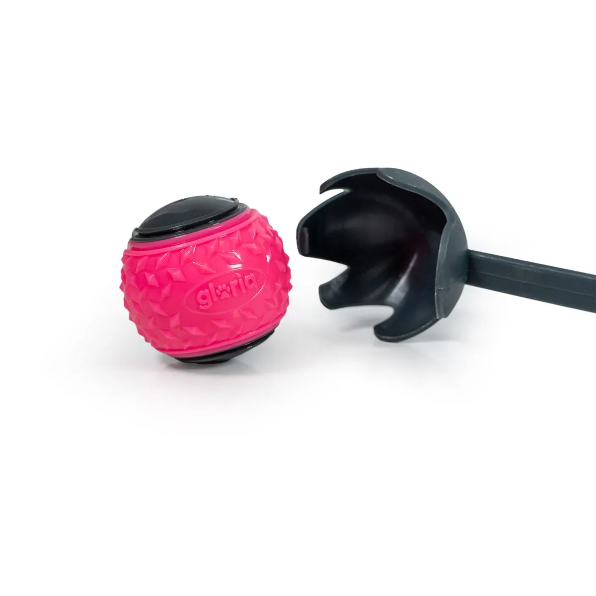 Meilleurs prix pour Gloria Lanceur de Balles pour Chiens - Gris