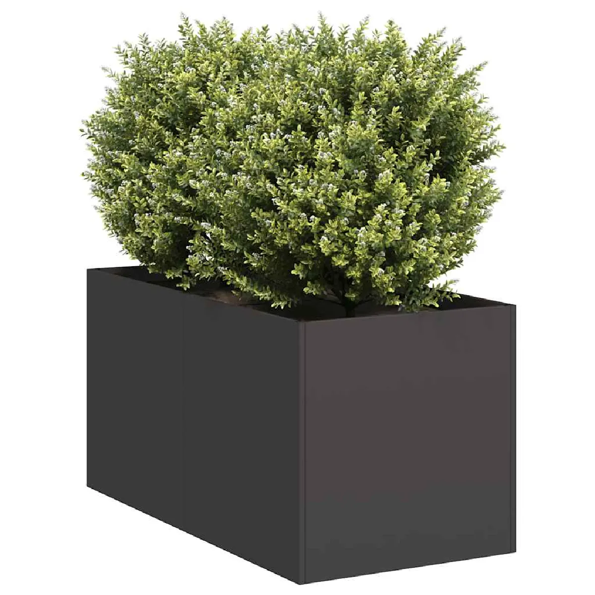 vidaXL Jardinière Noir