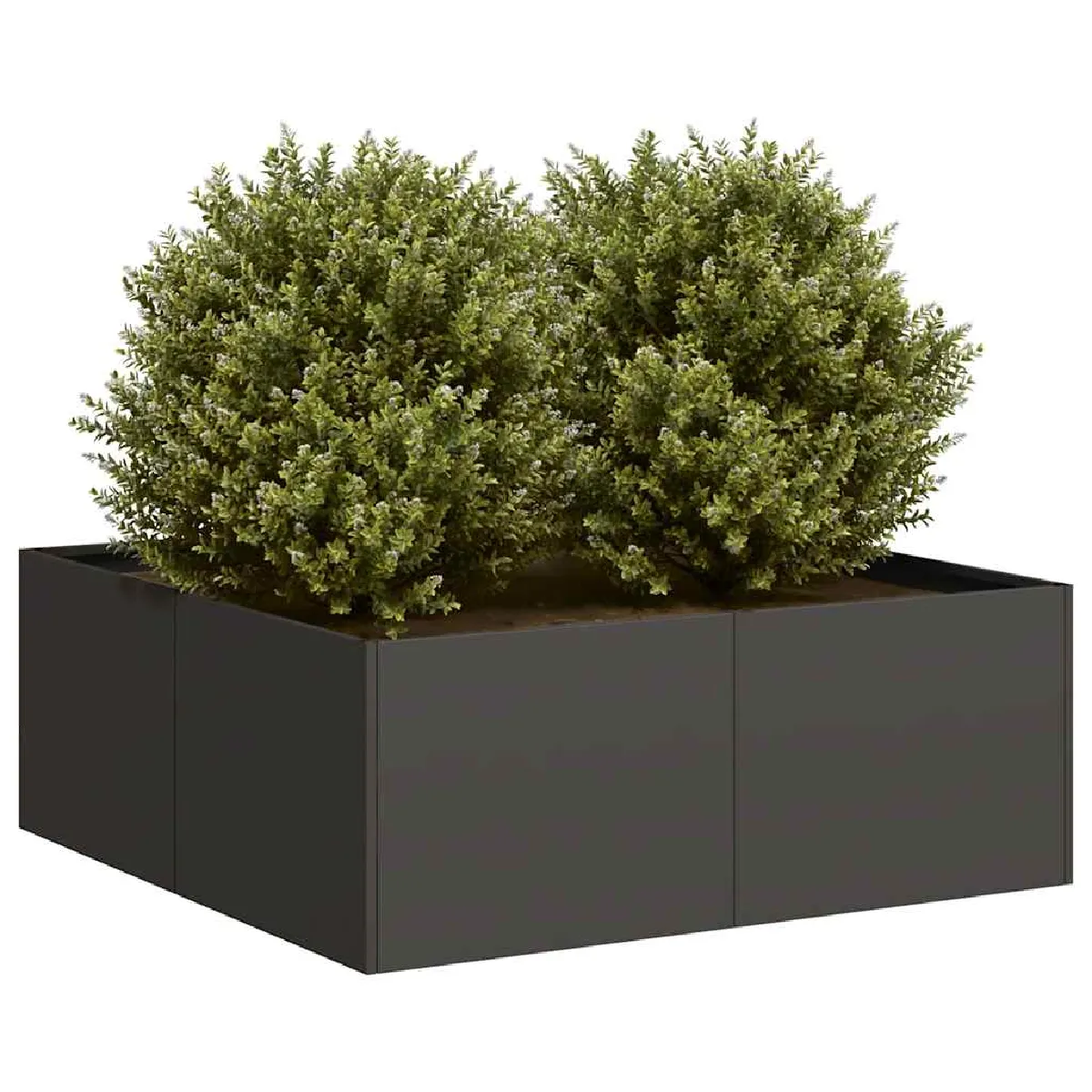 Vidaxl Jardinière acier - 80x80x30 cm