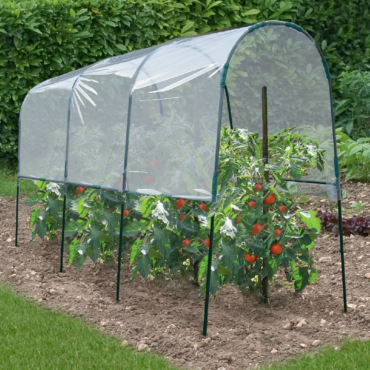 MARKET Serre à tomates 4M