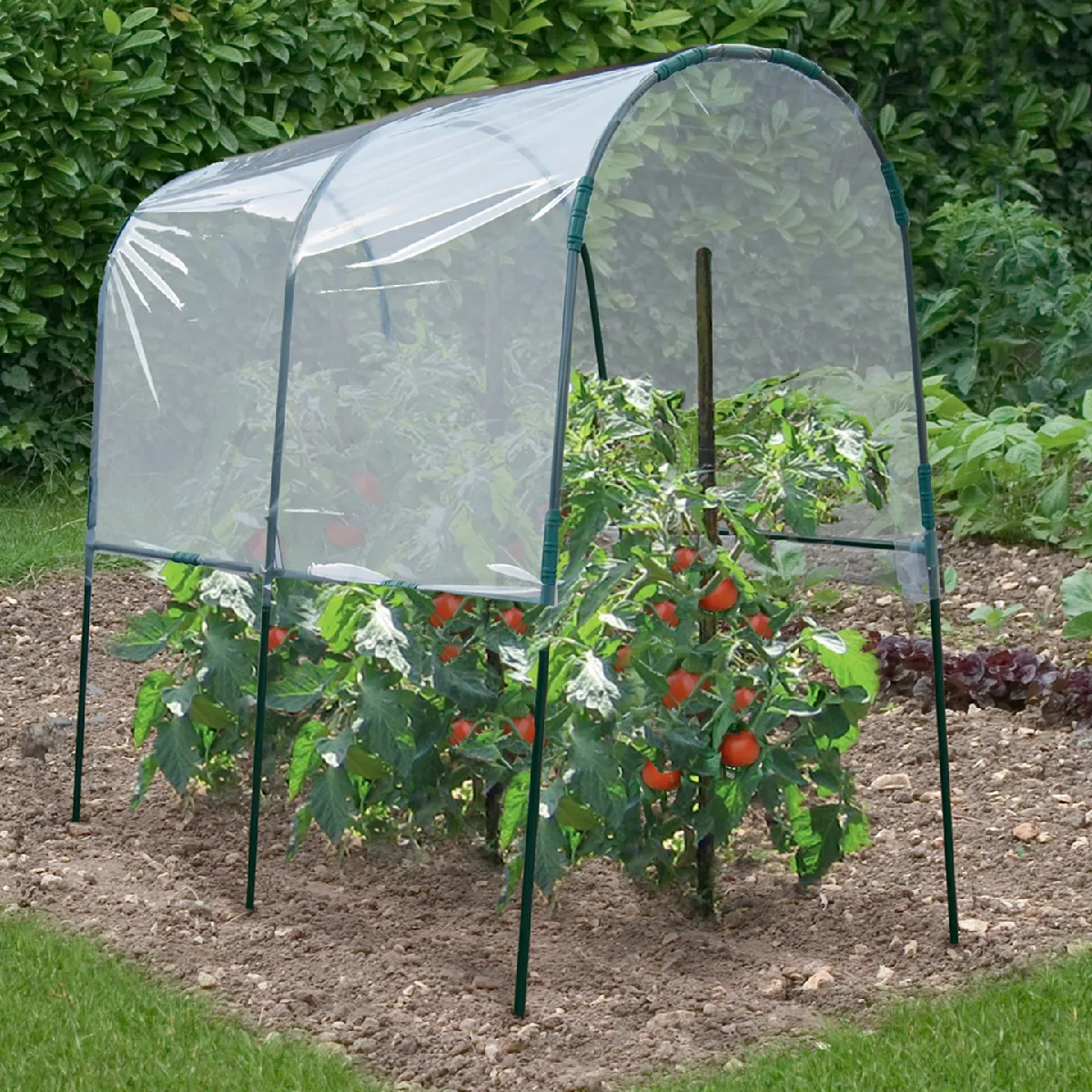 MARKET Serre à tomates 2M
