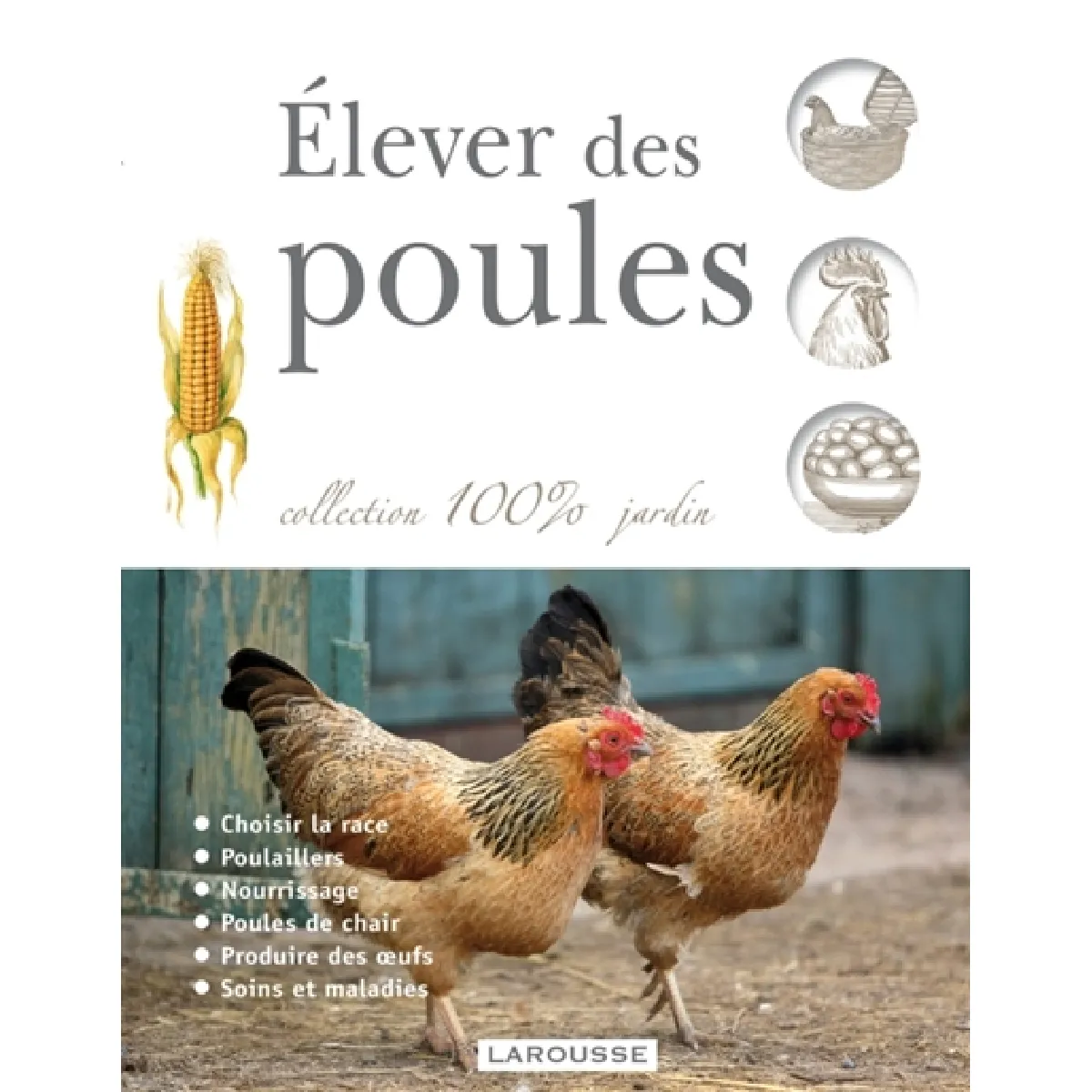 Elever des poules