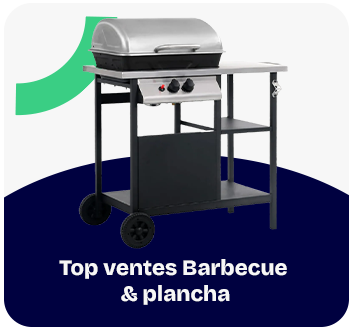Beaux jours - Barbecue & Plancha