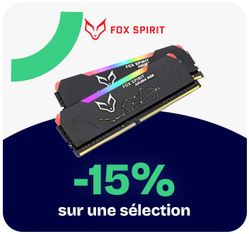 Anniv RDC - Fox Spirit