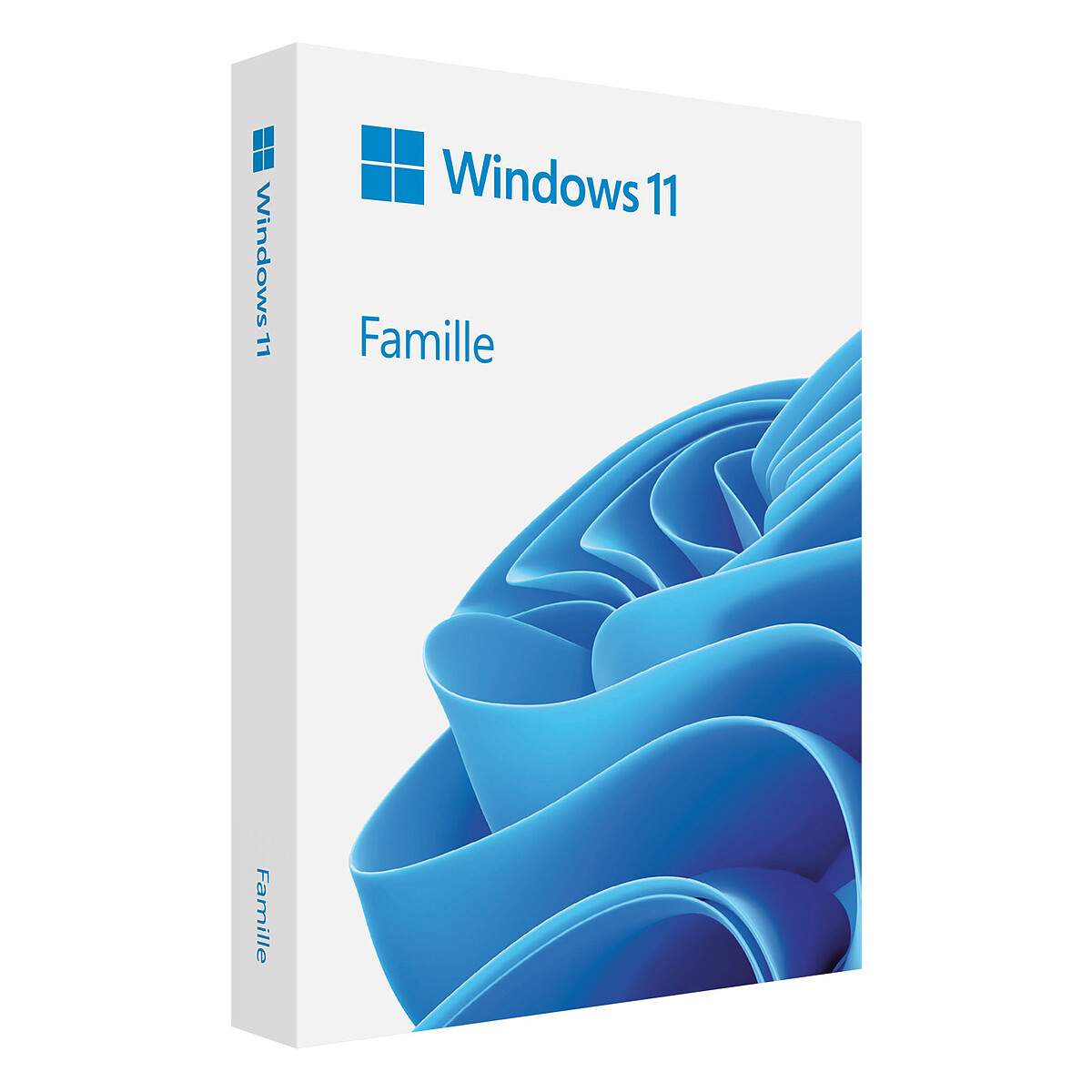 Microsoft Windows 11 Famille – OEM (DVD)