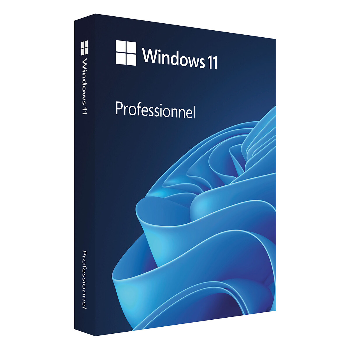 Microsoft Windows 11 Professionnel – OEM (DVD)