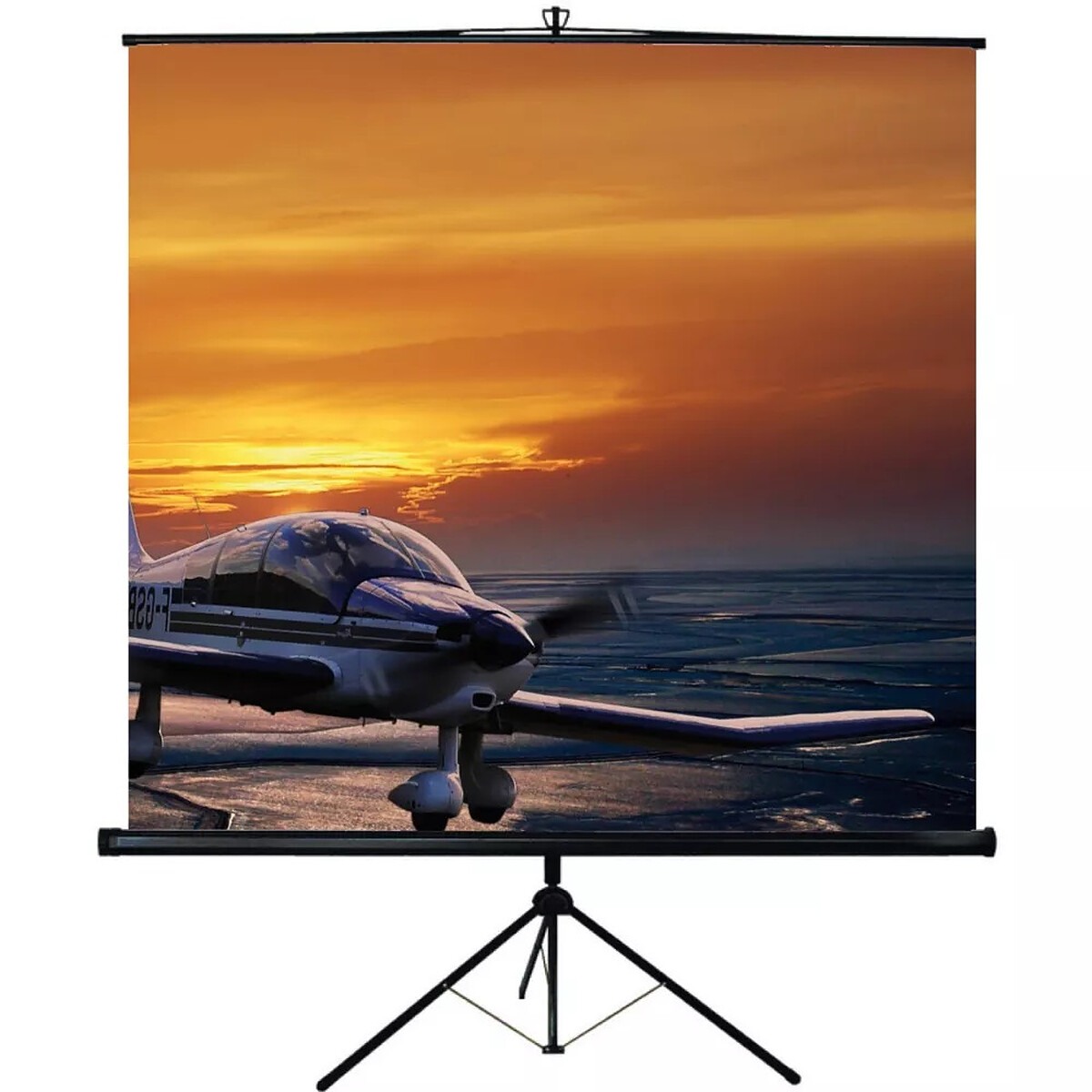Oray Screen 175 x 175 cm - Oray