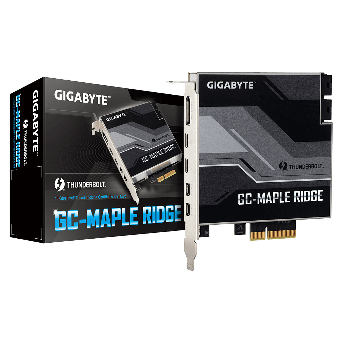 Gigabyte GC-MAPLE RIDGE - Gigabyte