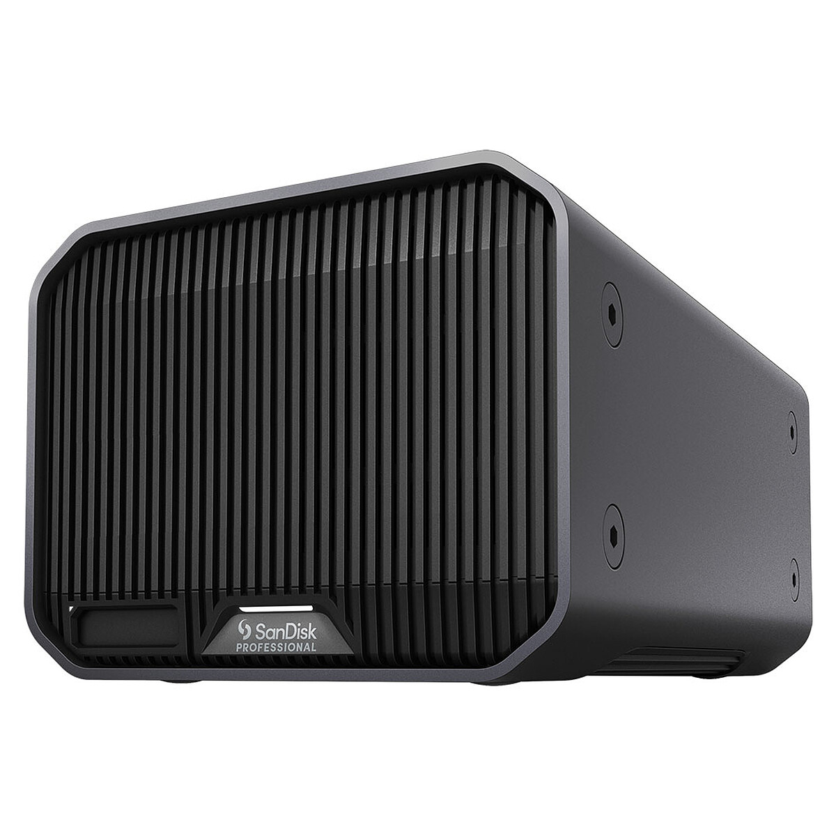SanDisk Professional G-Raid Mirror 24 To