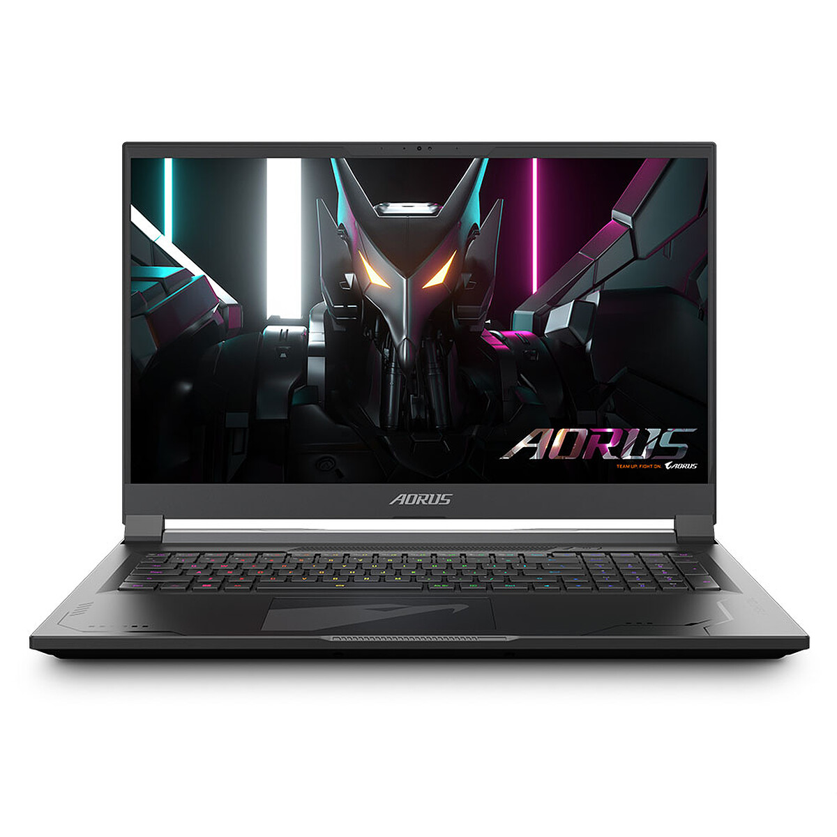 Intel Core i9-13980HX 32 Go SSD 2 To 17.3" LED QHD 240 Hz NVIDIA GeForce RTX 4090 16 Go DLSS 3 Wi-Fi 6E/Bluetooth Webcam Windows 11 Famille