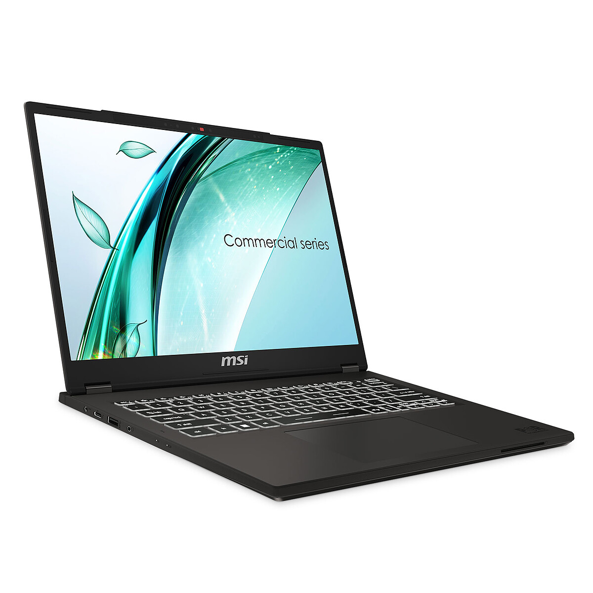 Intel Core i7-13700H 32 Go SSD 1 To 14" LED Full HD+ Wi-Fi 6E/Bluetooth Webcam Windows 11 Professionnel